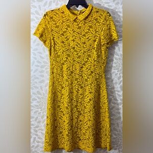Zara Women’s M Yellow Lace Collared Short Sleeves Crochet Mini Dress